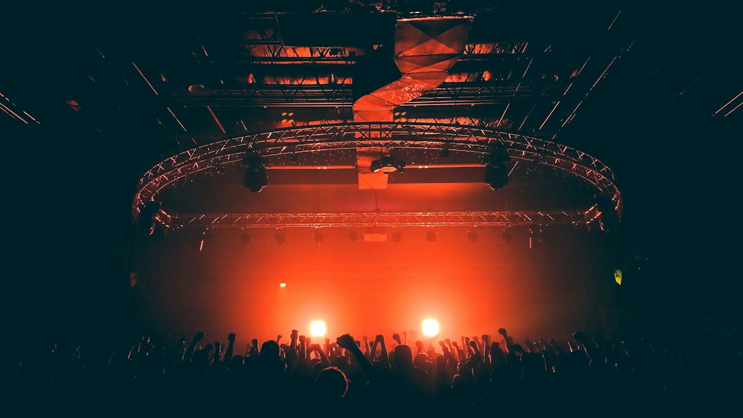 Performer silhouetted by colorful lights on a concert stage