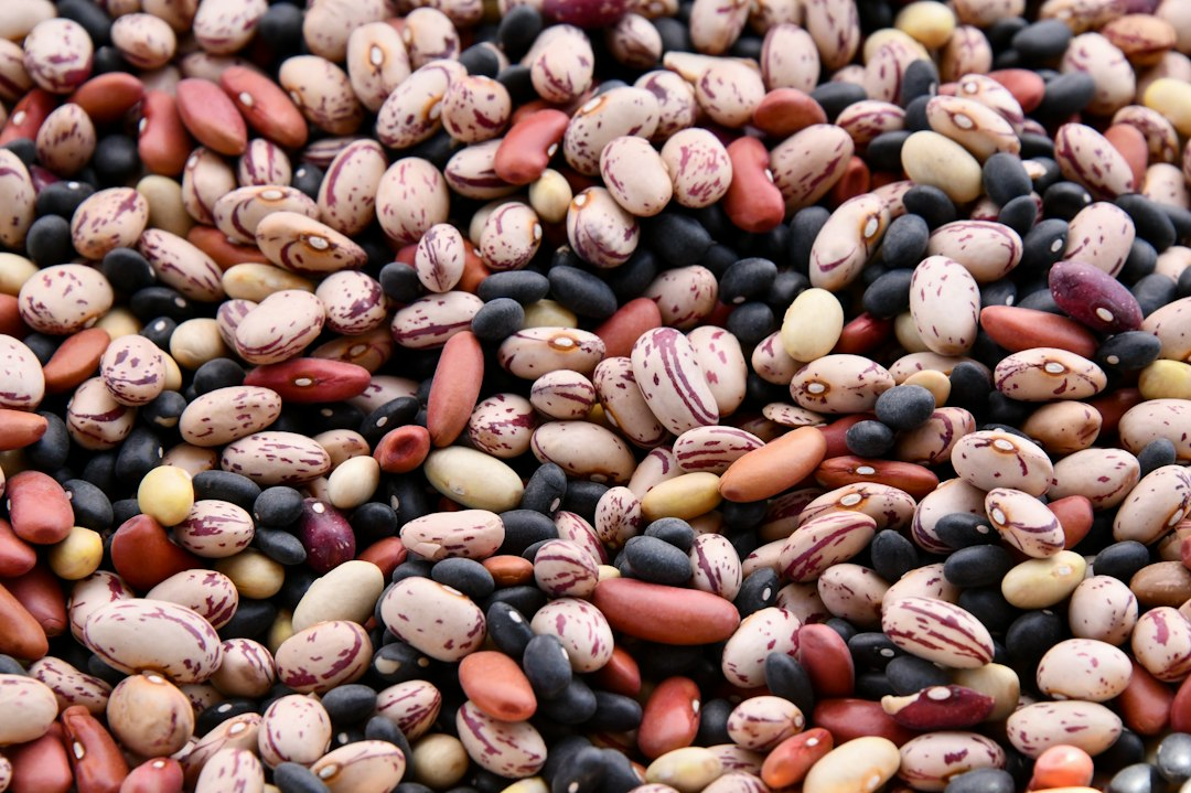 Assorted beans that provide dietary fiber