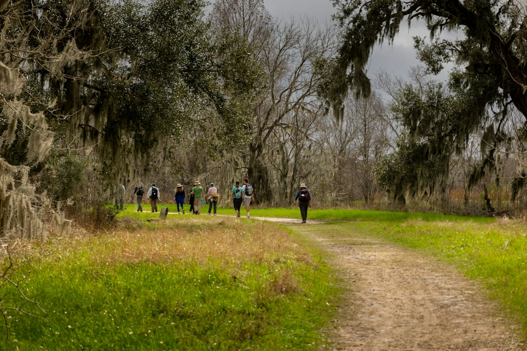 A group walking together outdoors in a park