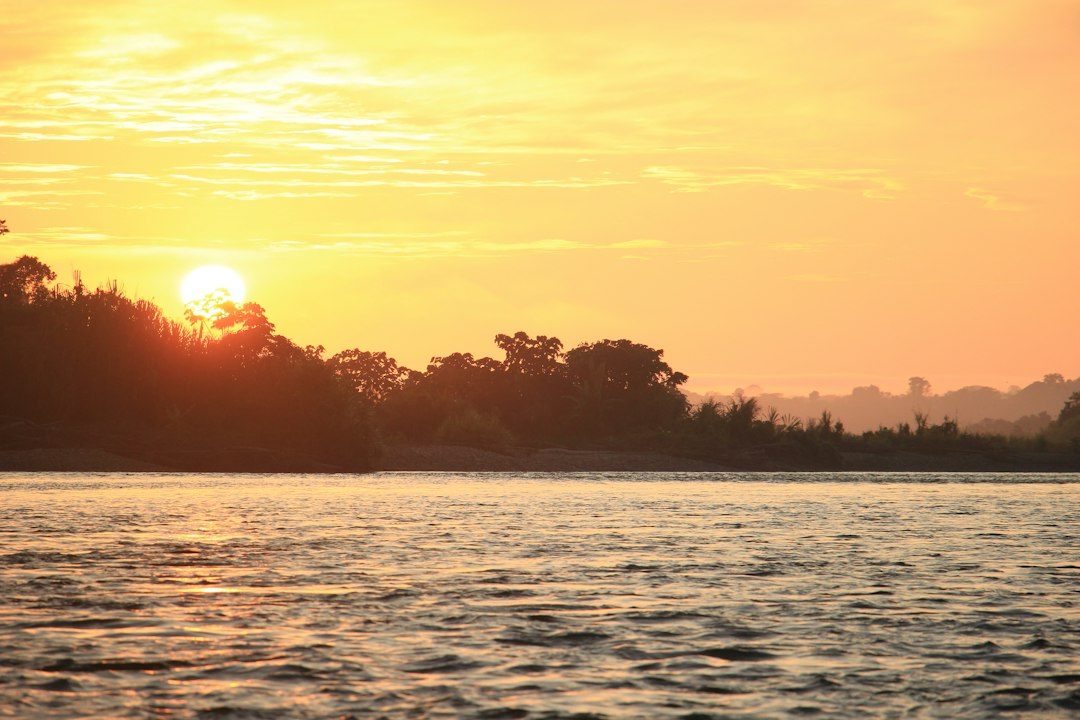River flowing through dense tropical rainforest at sunrise