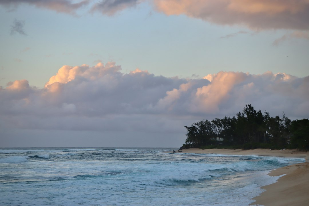 Waves breaking along a tropical shoreline beneath storm clouds